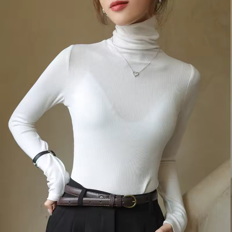 Long-Sleeve Turtleneck Sweater
