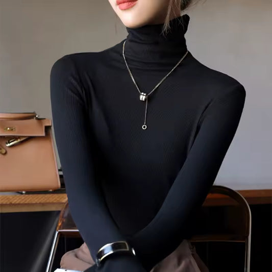Long-Sleeve Turtleneck Sweater