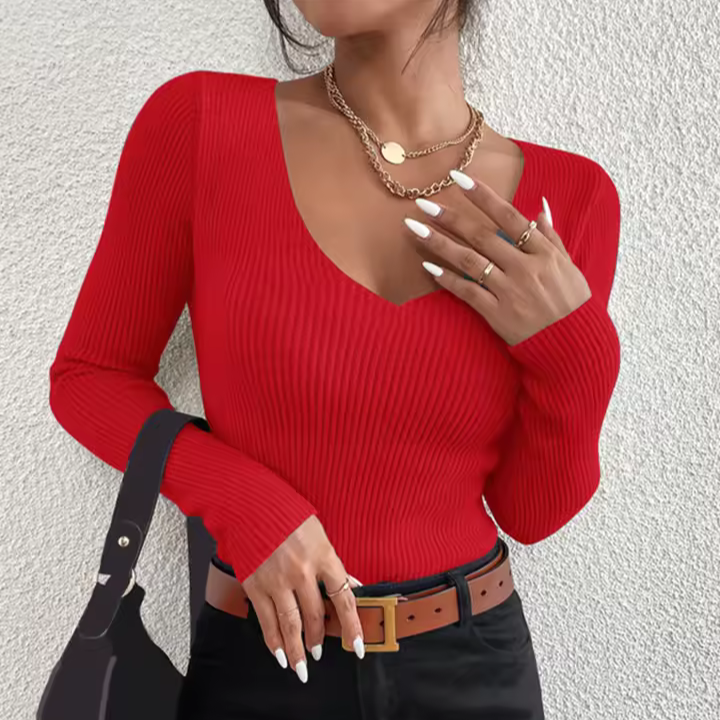 Long Sleeve V-Neck Sweater